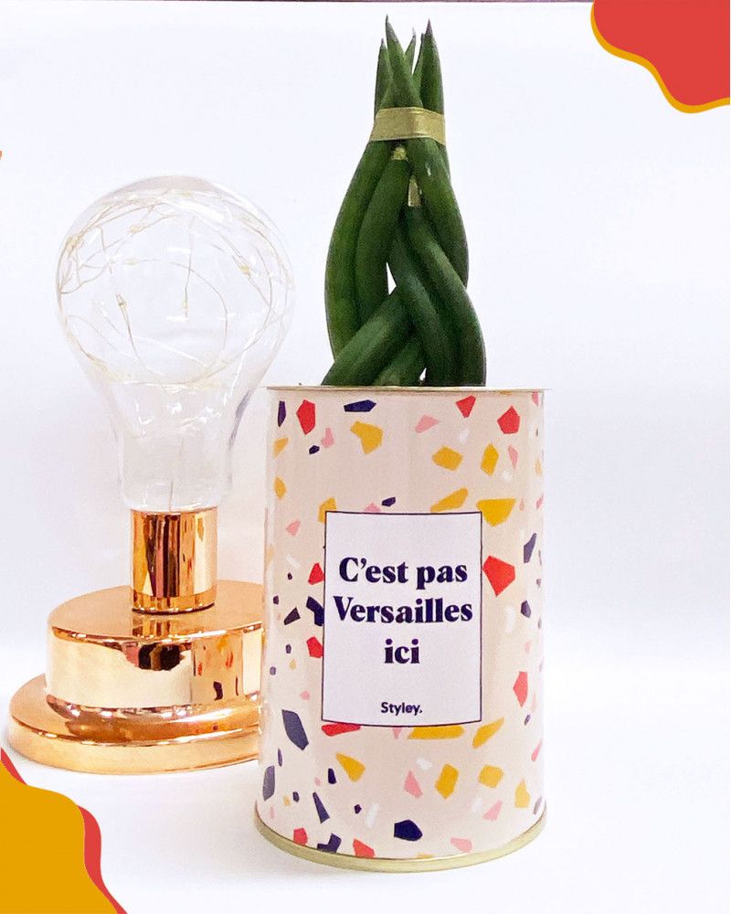 Cadeaux - C'est pas Versailles Ici - Cactus - STYLEY