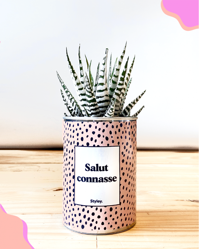 Cadeaux - Salut Connasse - Cactus - STYLEY