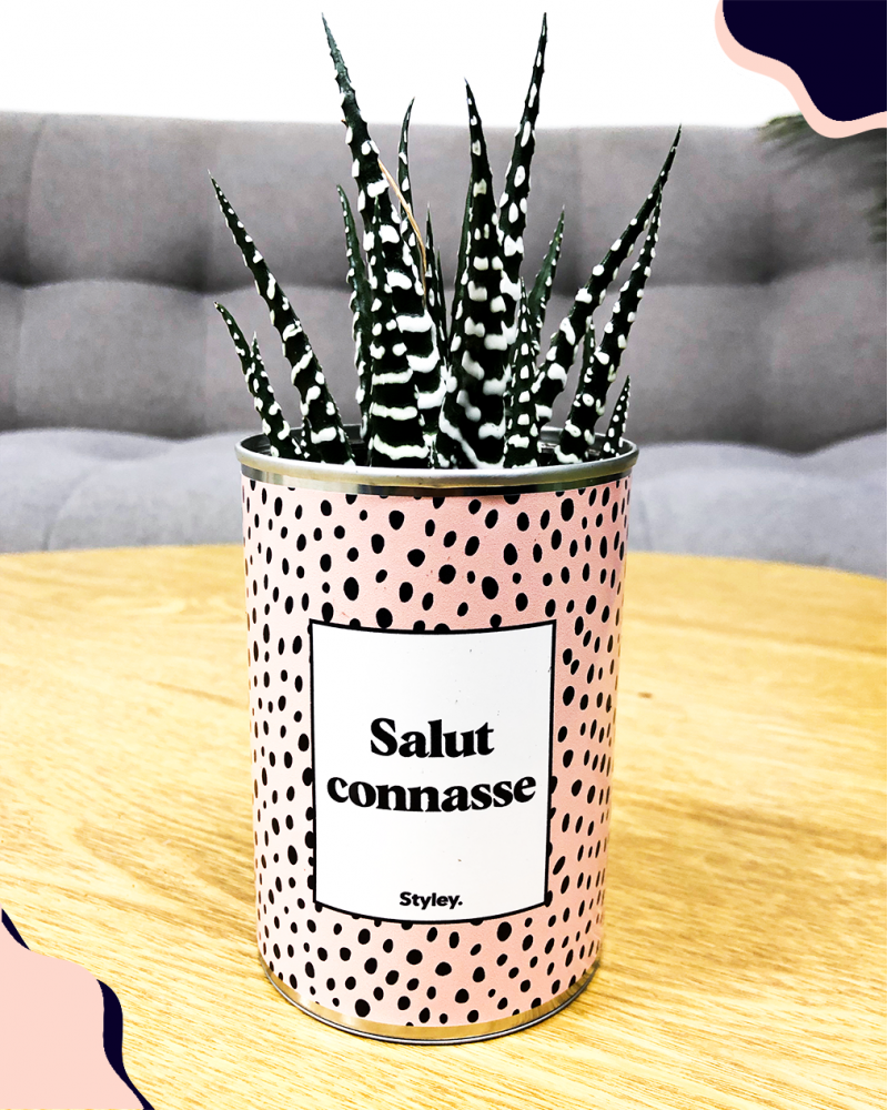 Cadeaux - Salut Connasse - Cactus - STYLEY