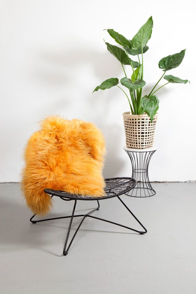 Contemporary carpets - DYRESKINN® Icelandic Sheepskin 90-100cm - DYRESKINN