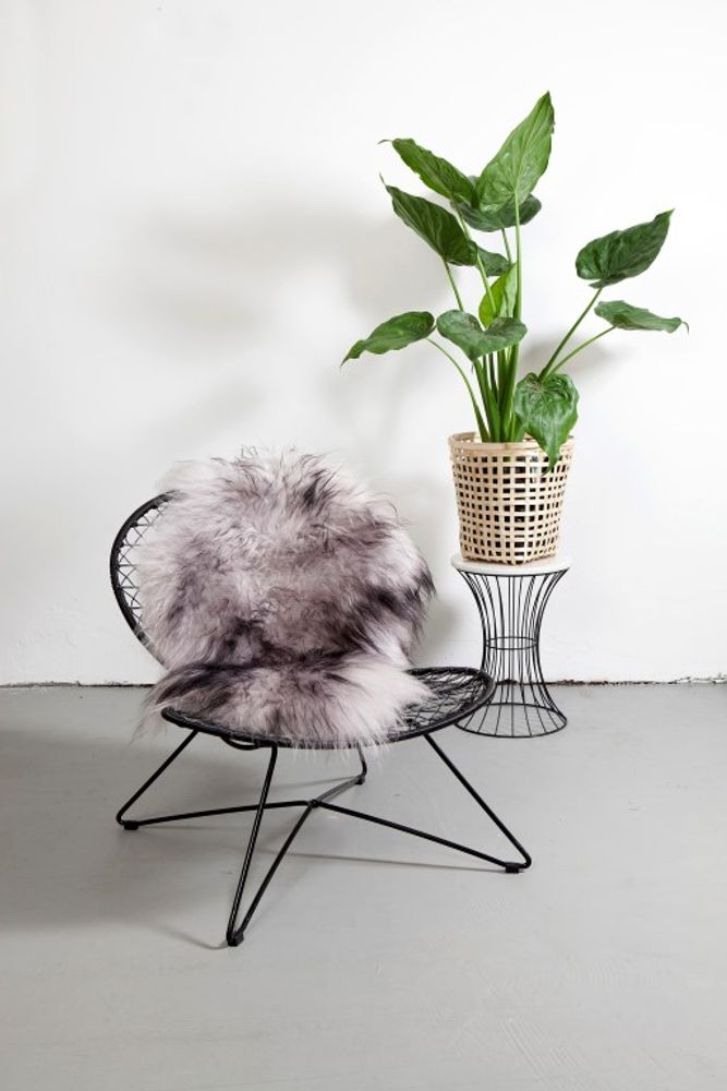Contemporary carpets - DYRESKINN® Icelandic Sheepskin 90-100cm - DYRESKINN