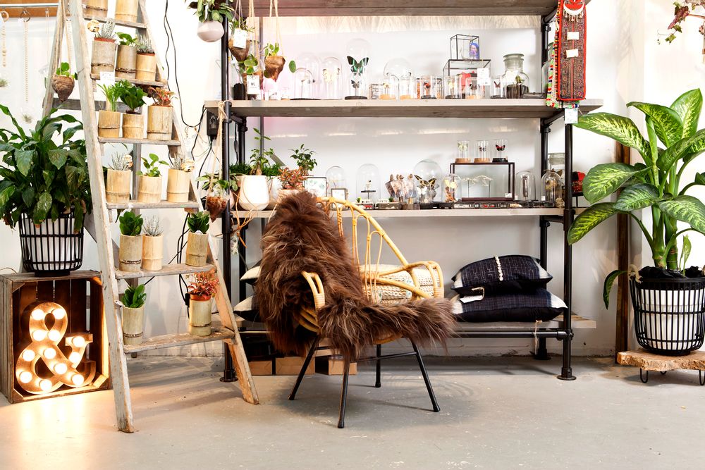 Contemporary carpets - DYRESKINN® Icelandic Sheepskin 90-100cm - DYRESKINN