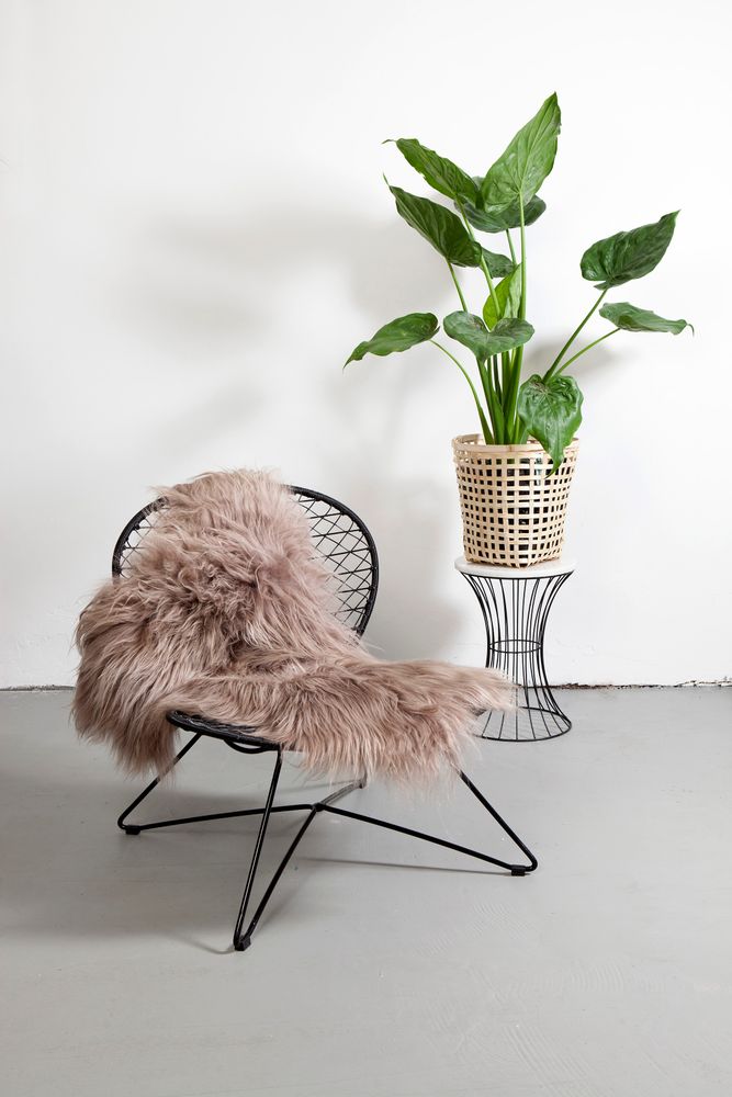 Contemporary carpets - DYRESKINN® Icelandic Sheepskin 90-100cm - DYRESKINN