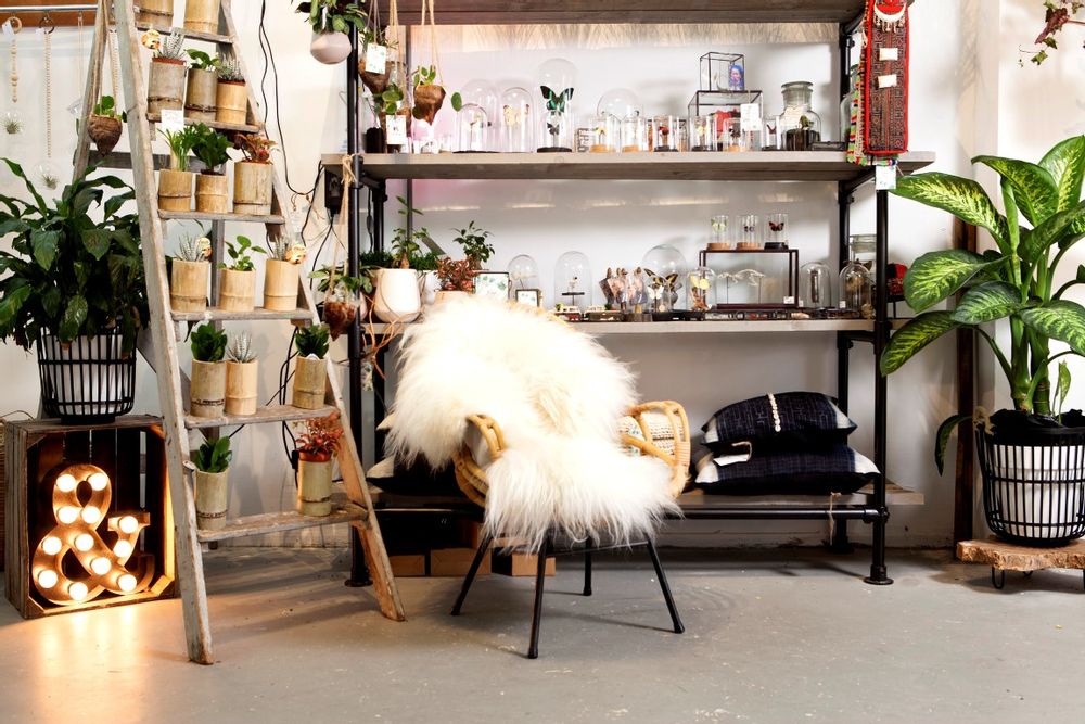 Contemporary carpets - DYRESKINN® Icelandic Sheepskin 90-100cm - DYRESKINN