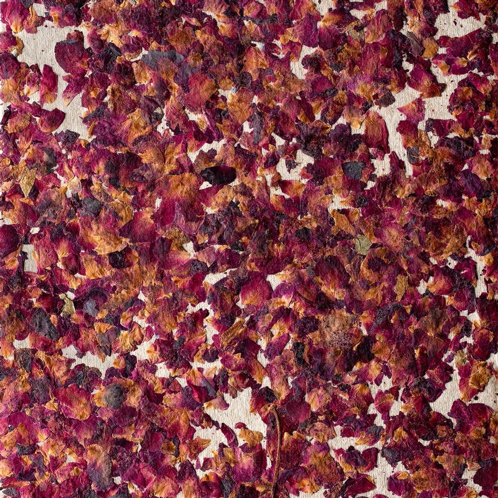 Papiers peints - Panneau Jardin des Roses - ETOFFE.COM
