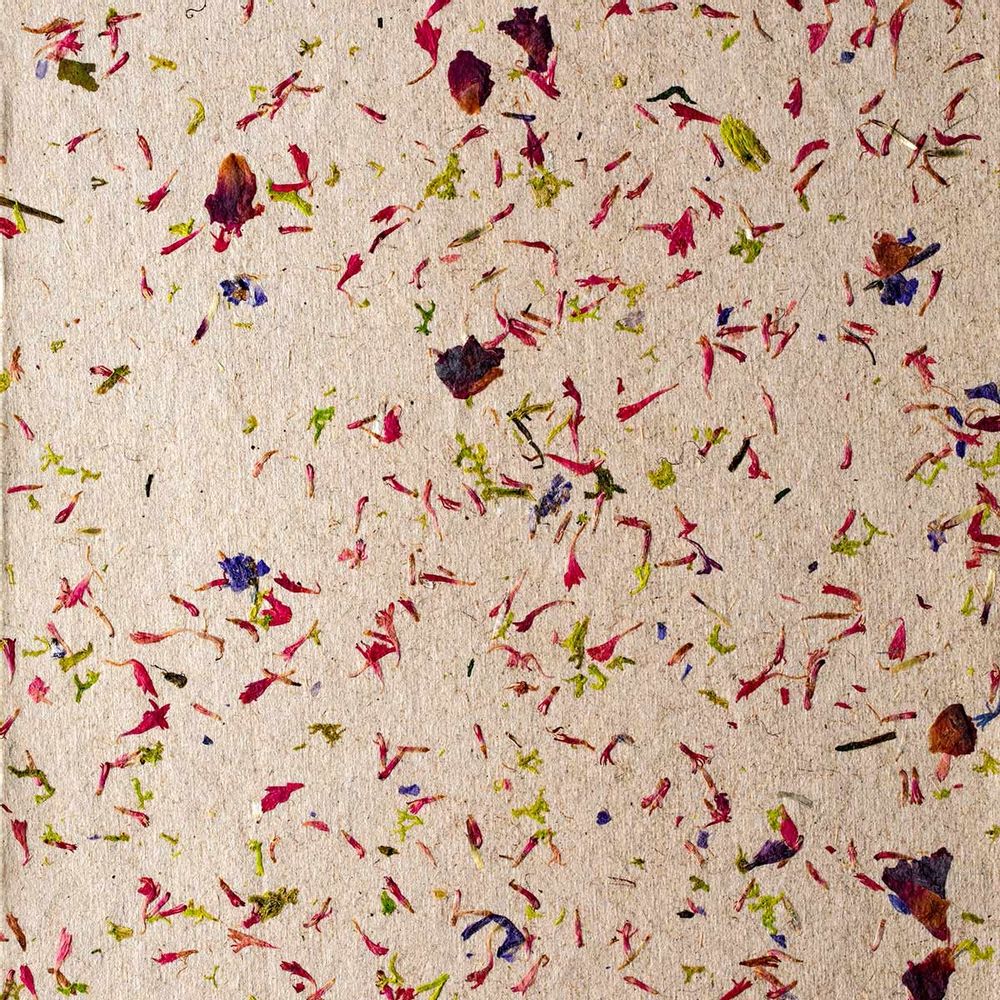 Wallpaper - Pétales & Tournesols Panel - ETOFFE.COM