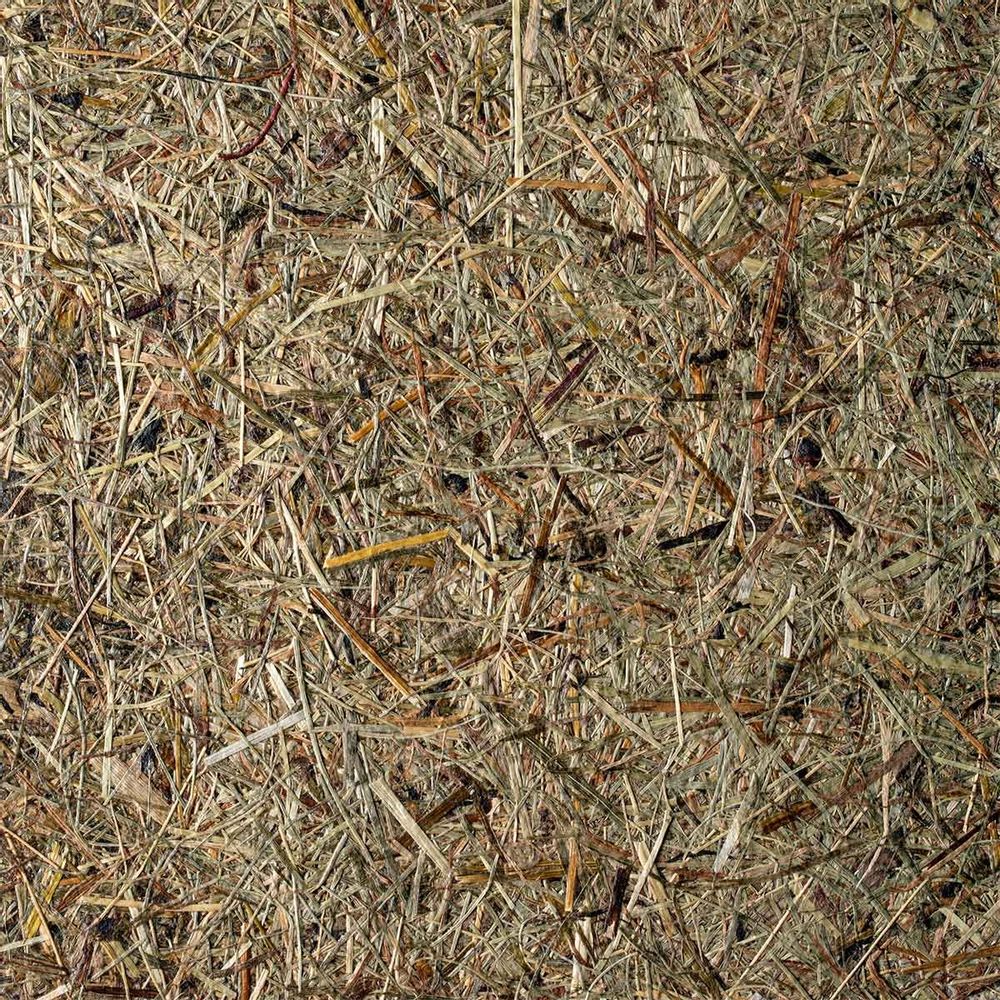 Wallpaper - Alpine pasture sign - ETOFFE.COM