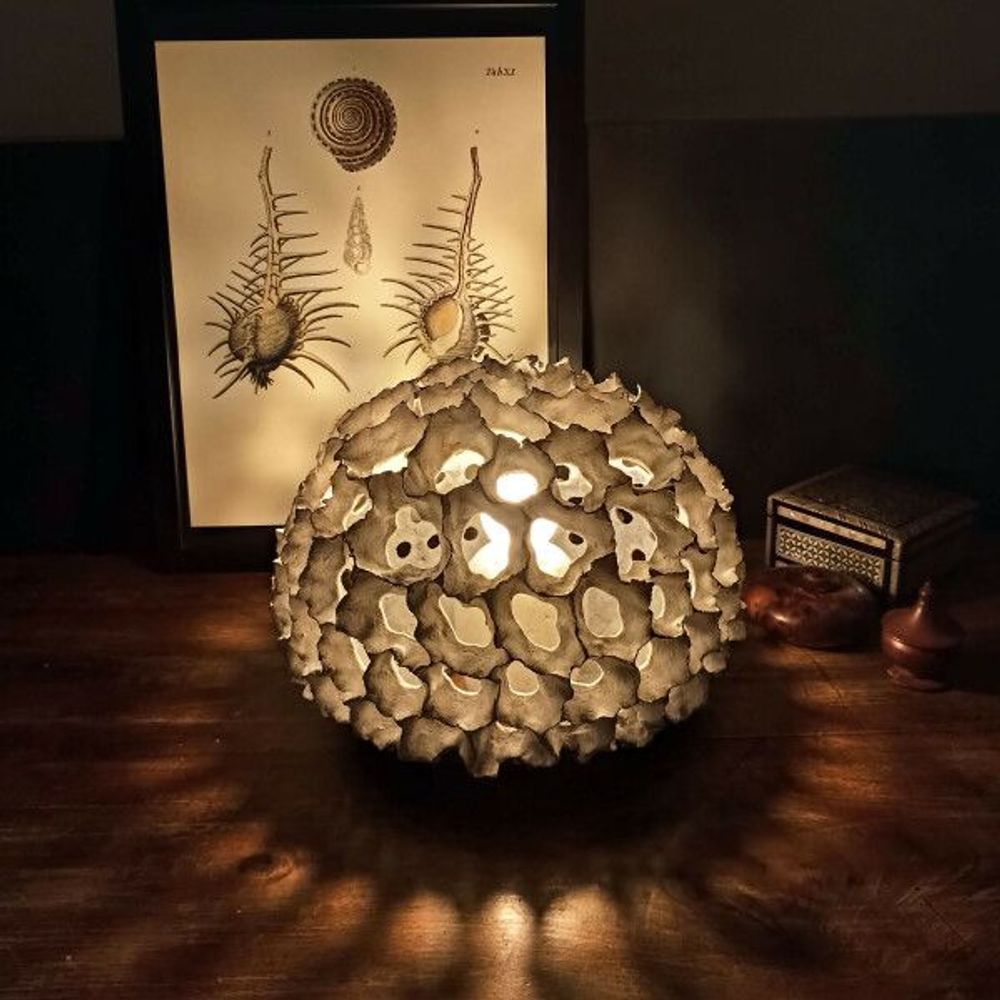 Lampes à poser - Micropora#5 - L'ATELIER DES CREATEURS