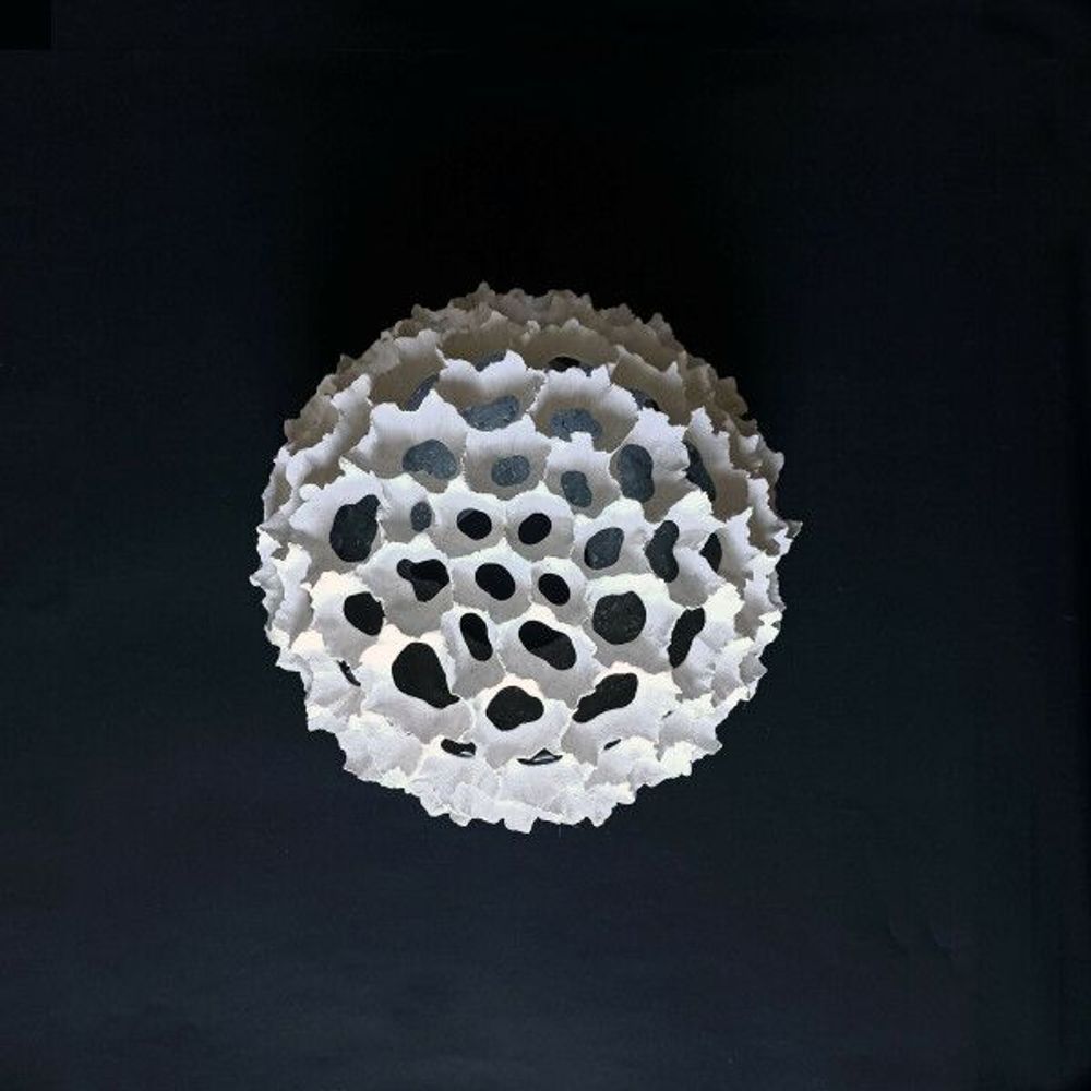 Lampes à poser - Micropora#5 - L'ATELIER DES CREATEURS