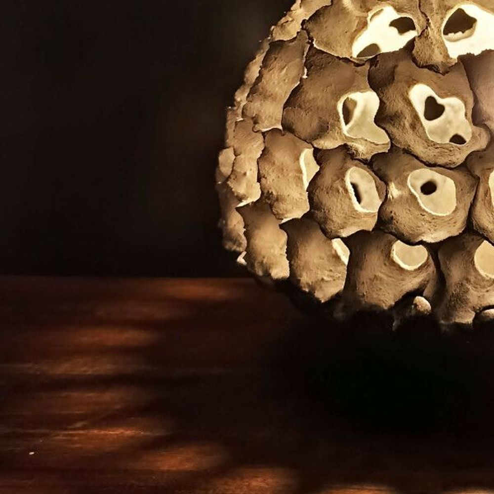 Table lamps - Micropora #7 - L'ATELIER DES CREATEURS