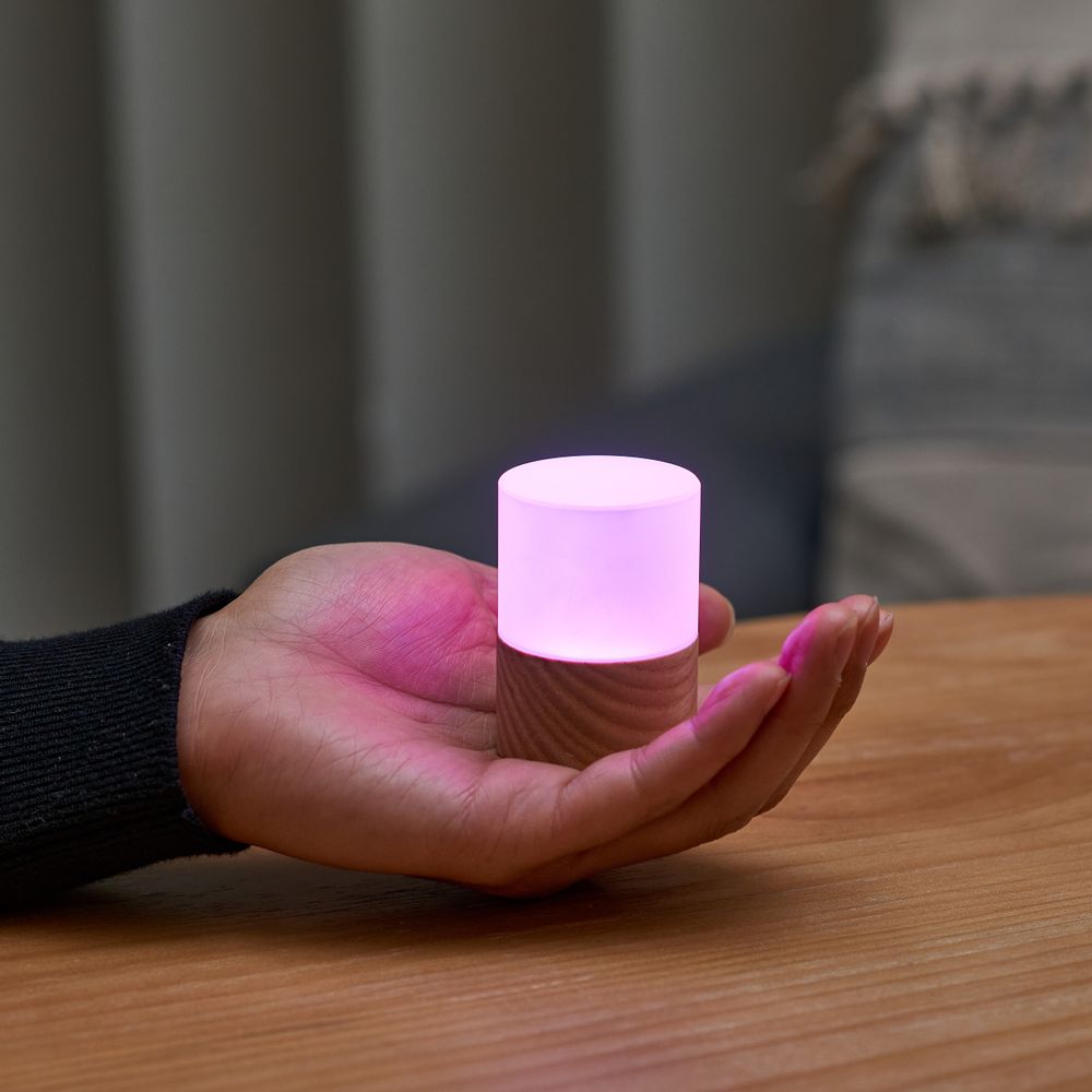 Objets design - Lampe Lemelia - GINGKO