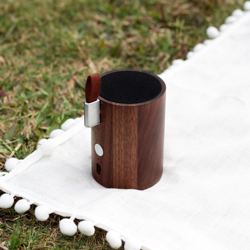 Objets design - Haut-parleur de batterie - GINGKO