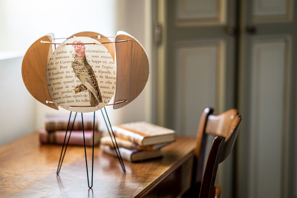Lampes à poser - Lampe de table LEIA OISEAUX ET BOIS - ZARALOBO