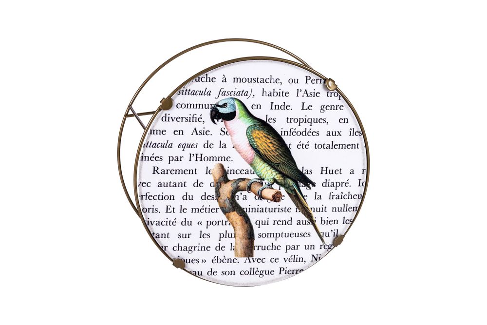 Wall lamps - POP WALL LAMP “THE JAY” - ZARALOBO