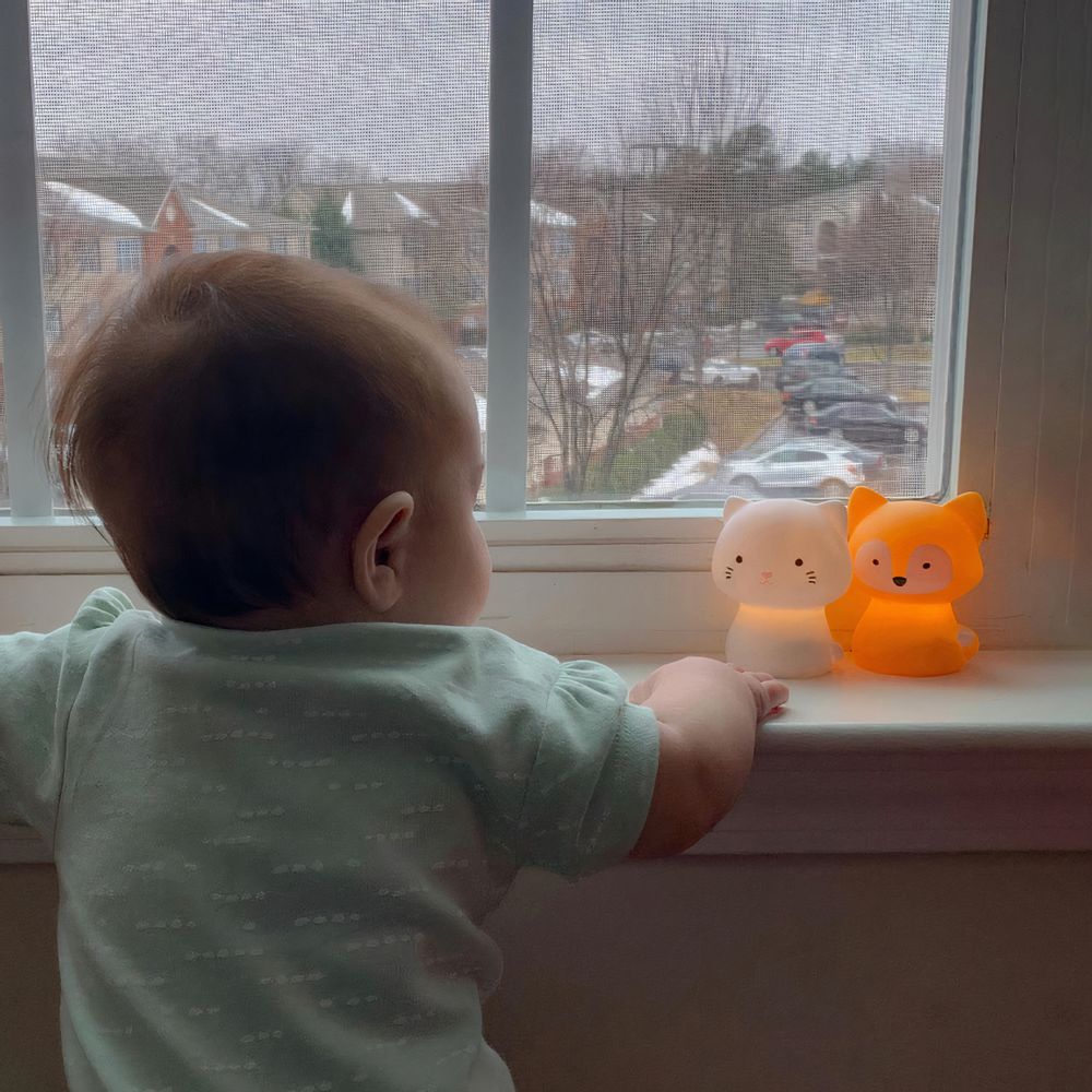 Luminaires pour enfant - Veilleuse rechargeable USB Lune, Nuage, Étoile, Panda, Renard, Chat, Ours Polaires - SOMESHINE