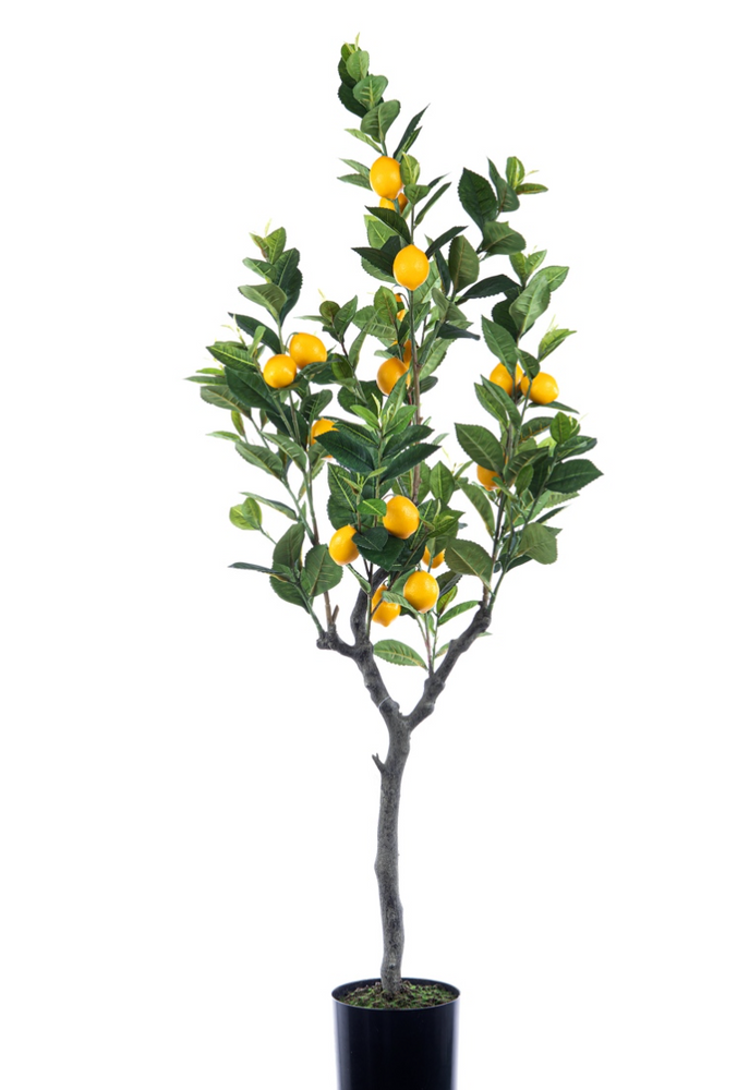 Decorative objects - Lemon Tree - Artificial Tree H 120cm - ARTIFLOR
