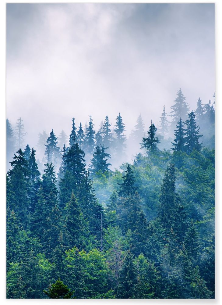 Affiches - AFFICHES NATURE #1 - L'AFFICHERIE