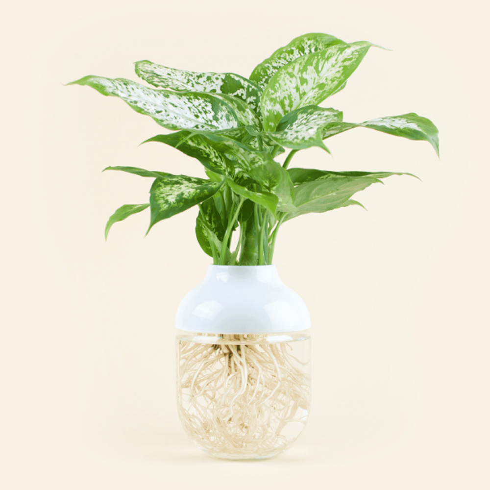 Floral decoration - The Tot' Vega - L'ATELIER DES CREATEURS