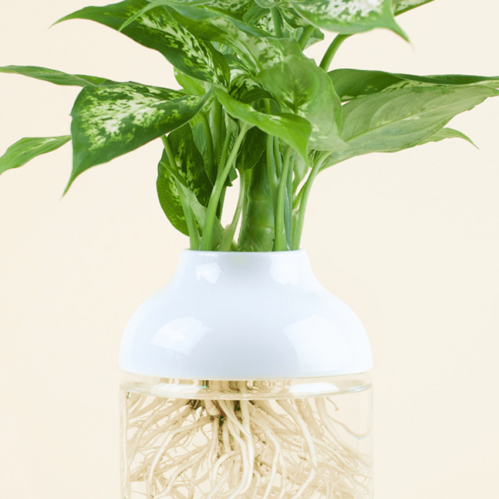 Floral decoration - The Tot' Vega - L'ATELIER DES CREATEURS
