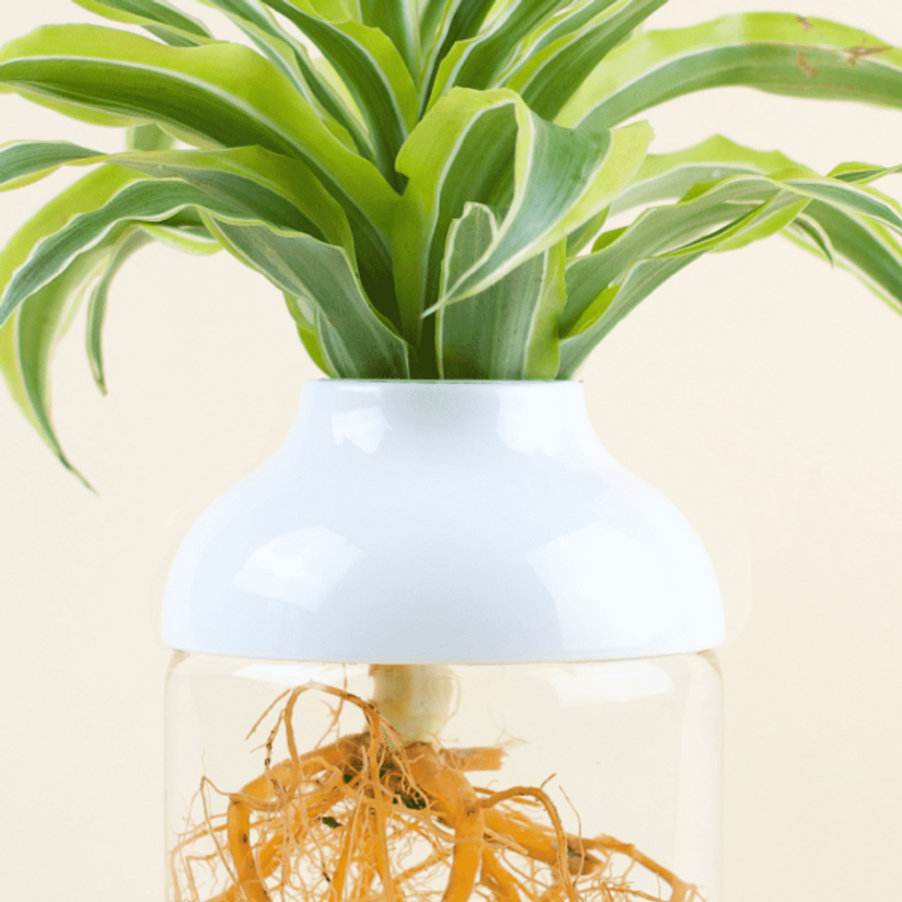 Floral decoration - The Tot' Bart - L'ATELIER DES CREATEURS
