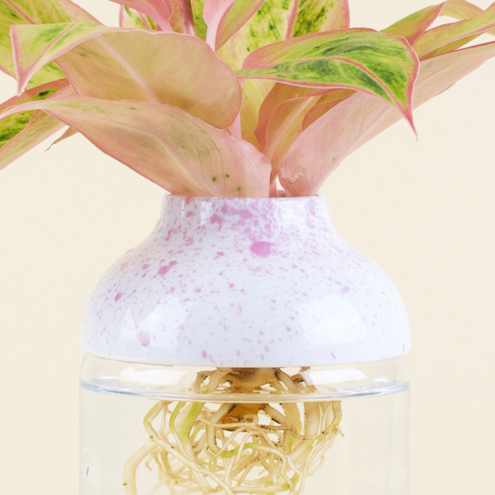 Décorations florales - Le Tot' Fanta x "Non Sans Raison" - L'ATELIER DES CREATEURS