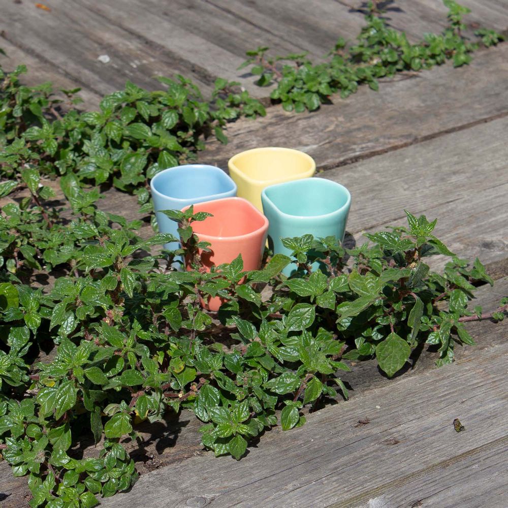 Tea and coffee accessories - Copus 1.0 Coffee/Snack Set - DEDAL