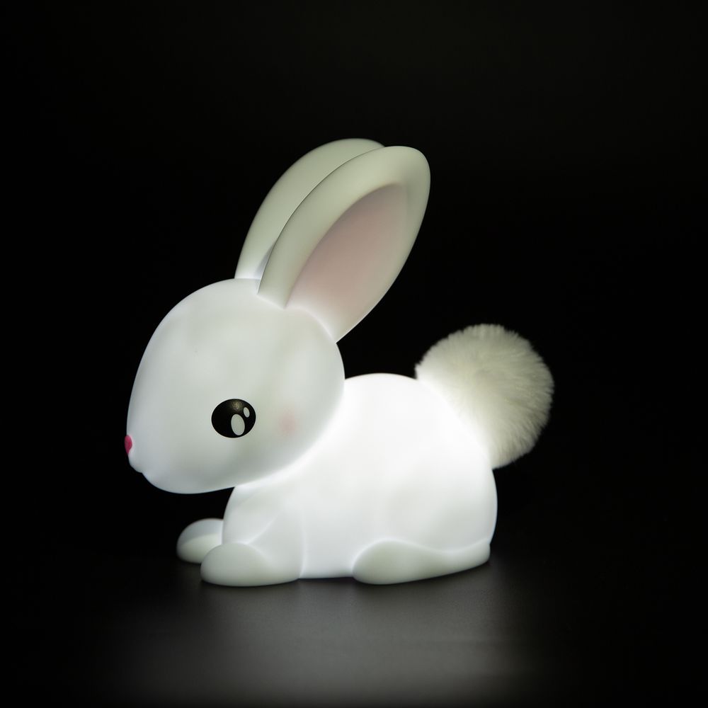 Cadeaux - Lapin Northern Lights - DHINK.EU