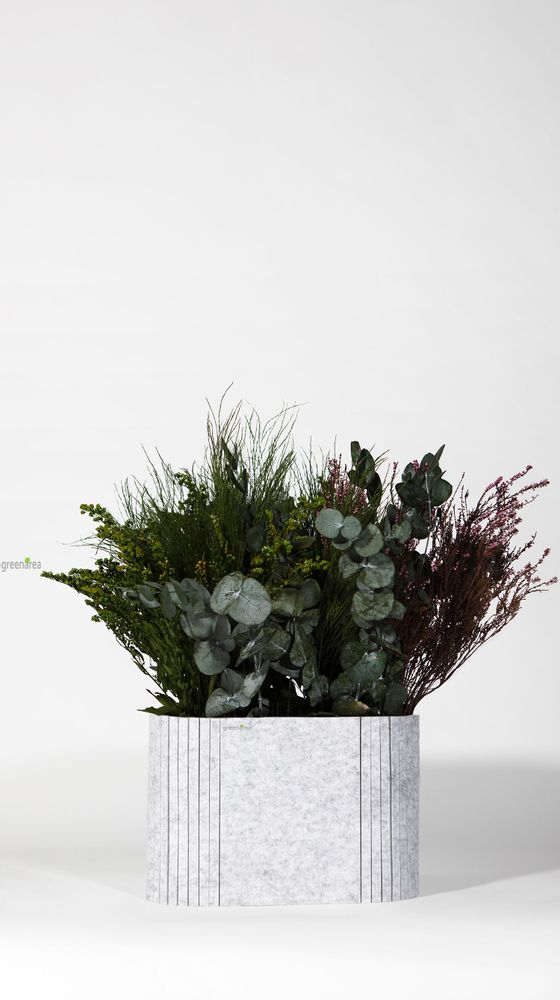 Mobilier et rangements pour bureau - OTOgreen Planter - Jardinières insonorisantes et biophiles - GREENAREA