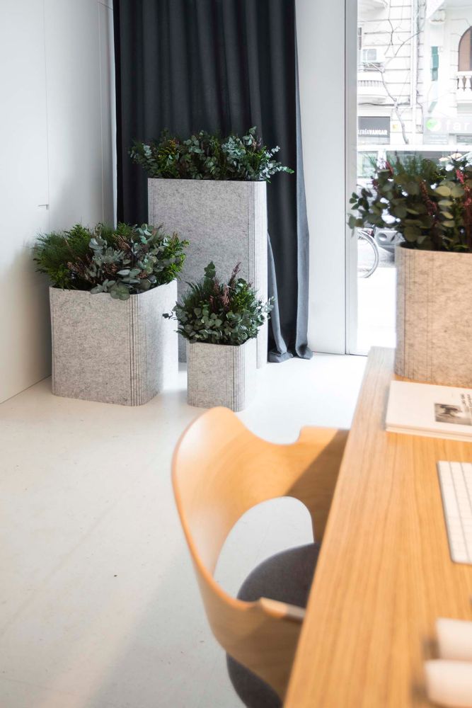 Mobilier et rangements pour bureau - OTOgreen Planter - Jardinières insonorisantes et biophiles - GREENAREA