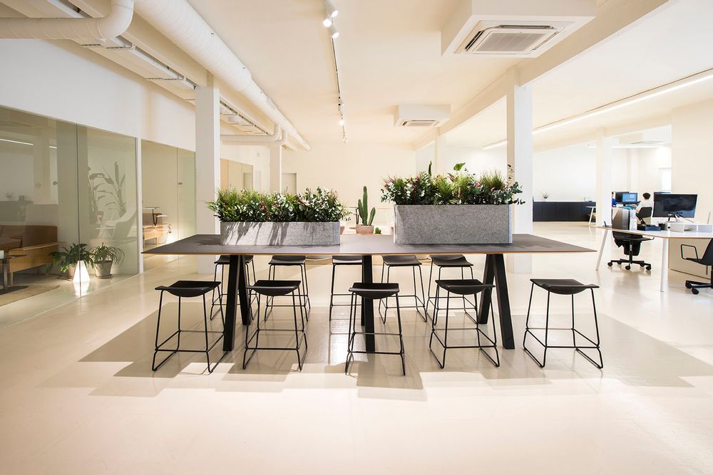 Mobilier et rangements pour bureau - OTOgreen Planter - Jardinières insonorisantes et biophiles - GREENAREA