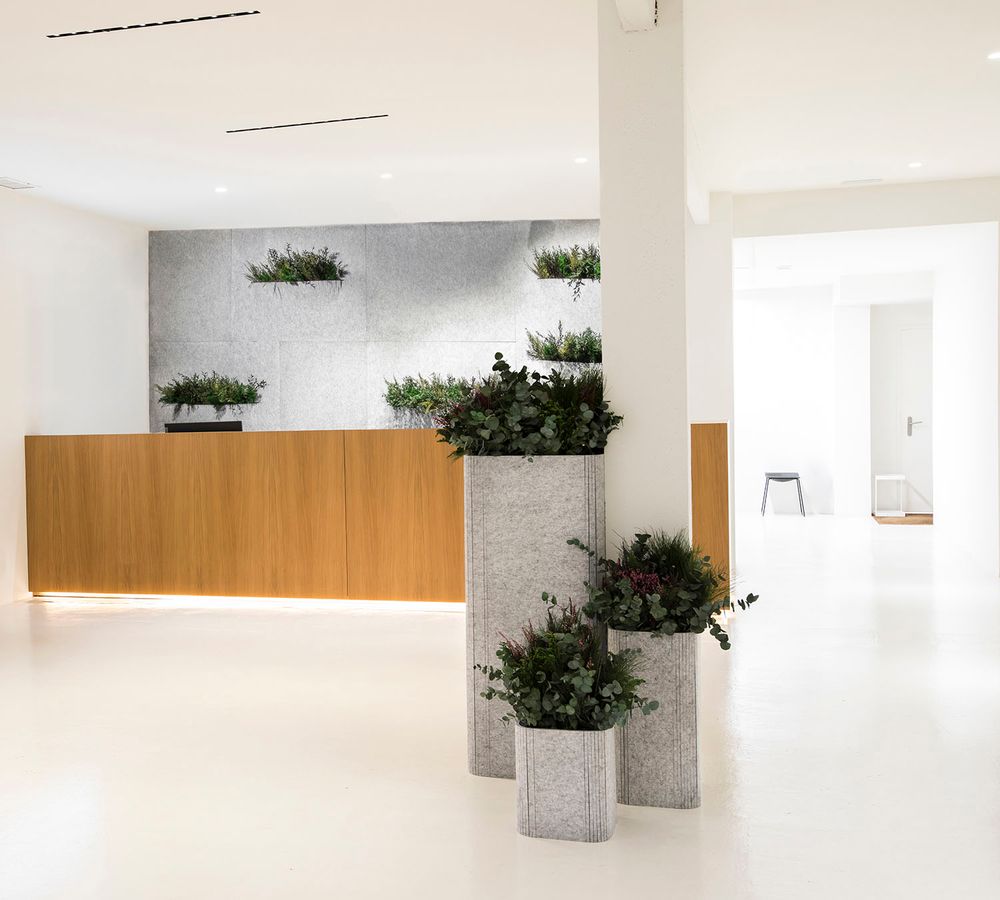 Wall panels - OTOGreen Wall Sound-absorbing and biophilic panels - GREENAREA
