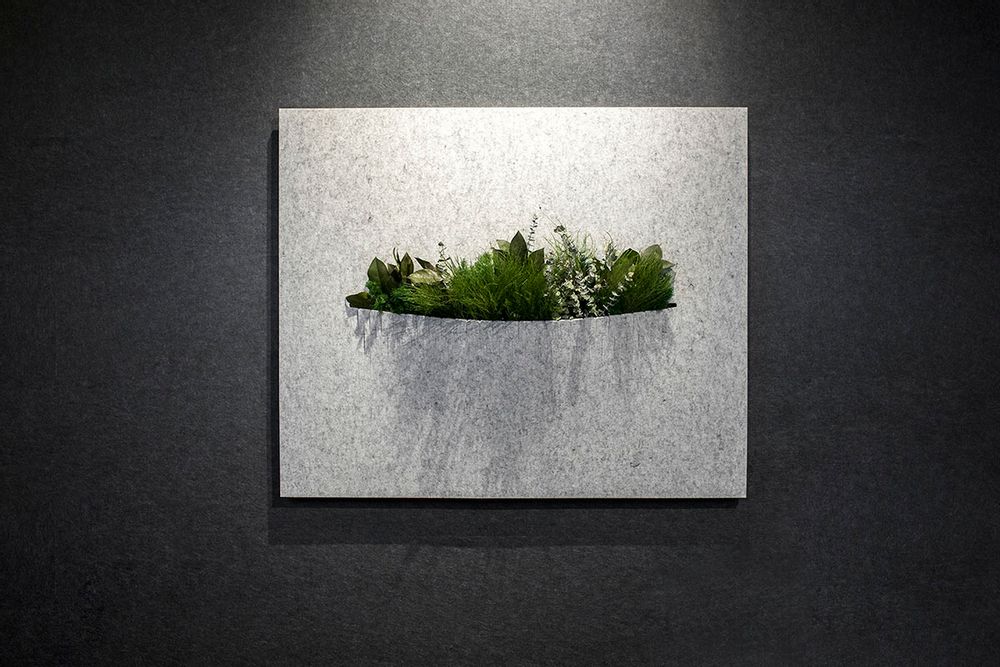 Wall panels - OTOGreen Wall Sound-absorbing and biophilic panels - GREENAREA