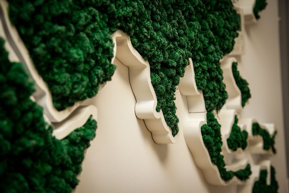 Revêtements muraux - Carte du monde - Green Wold - GREENAREA