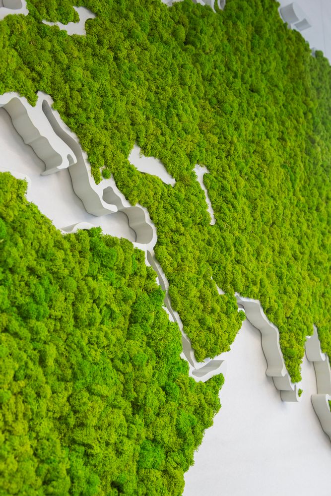 Revêtements muraux - Carte du monde - Green Wold - GREENAREA