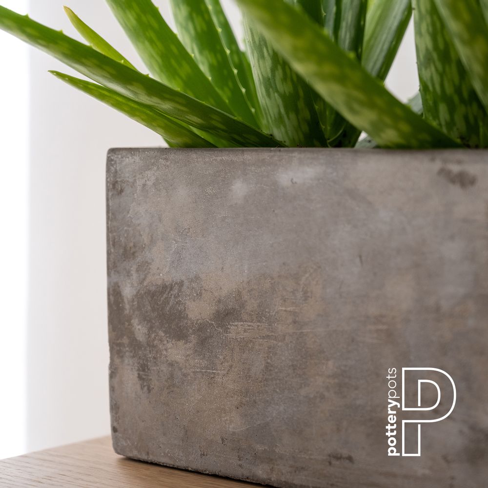 Bowls - Concrete collection - POTTERY POTS