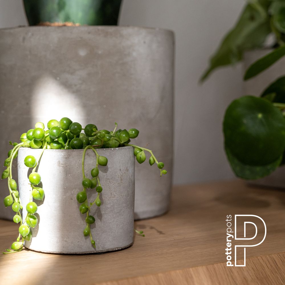 Bowls - Concrete collection - POTTERY POTS