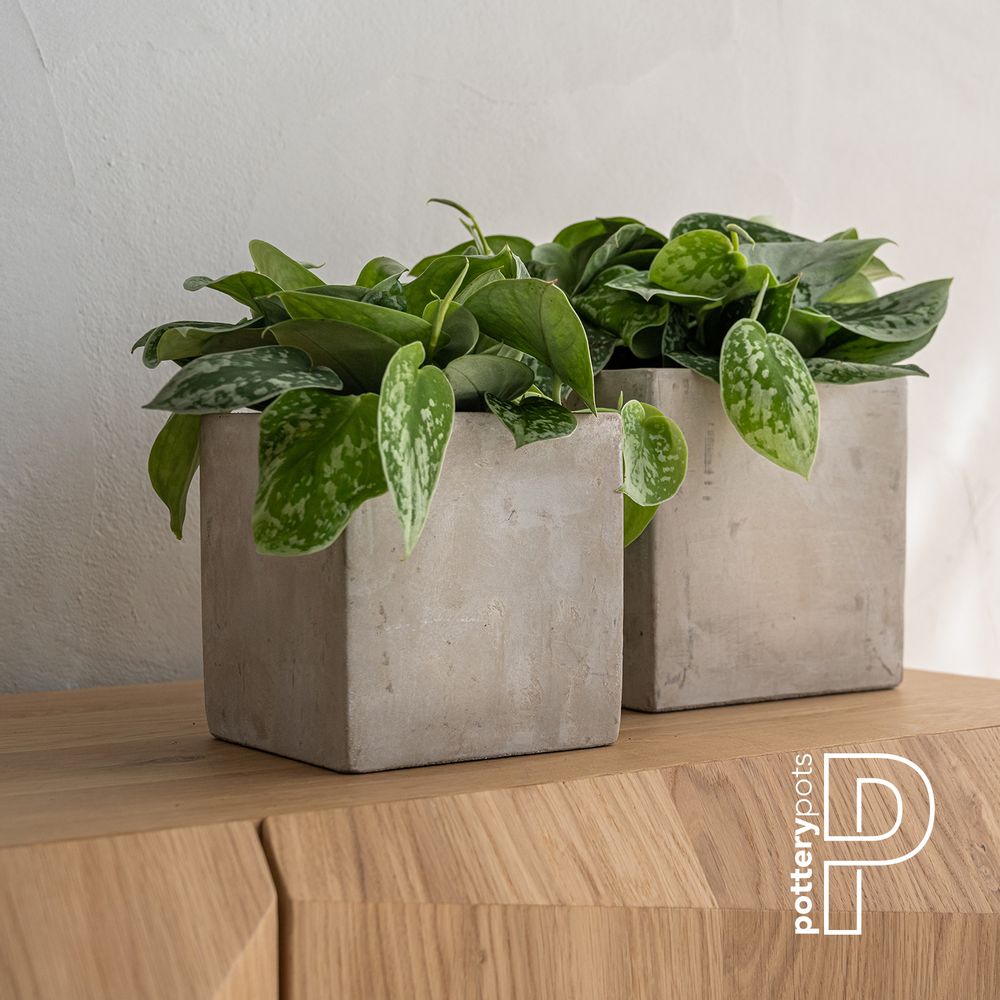 Bowls - Concrete collection - POTTERY POTS