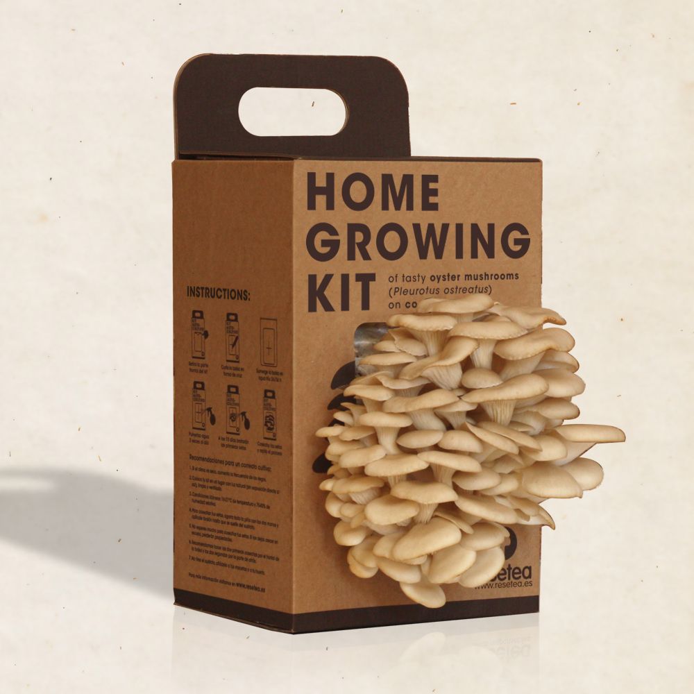 Cadeaux - Kit de auto-culture de délicieux champignons - RESETEA