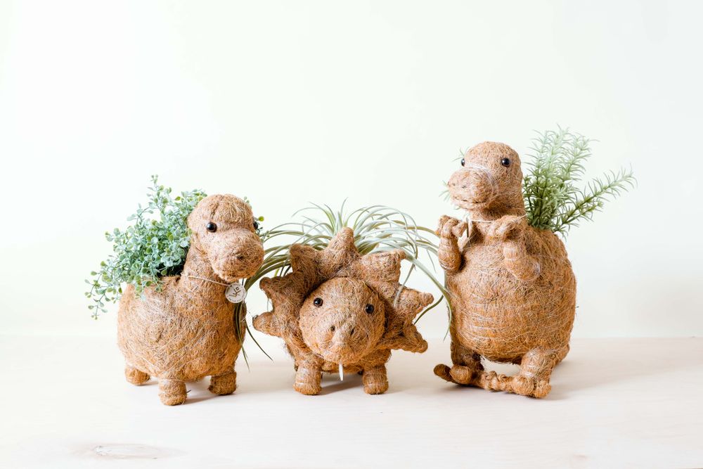 Pots de fleurs - Jardinières dinosaures en fibre de coco par Likha - NEST