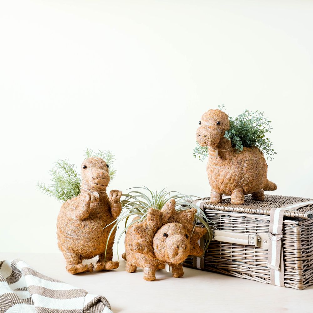 Pots de fleurs - Jardinières dinosaures en fibre de coco par Likha - NEST
