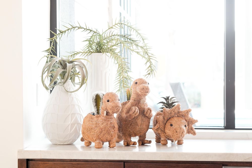 Pots de fleurs - Jardinières dinosaures en fibre de coco par Likha - NEST