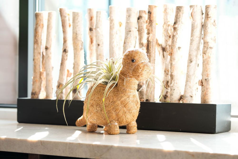 Pots de fleurs - Jardinières dinosaures en fibre de coco par Likha - NEST