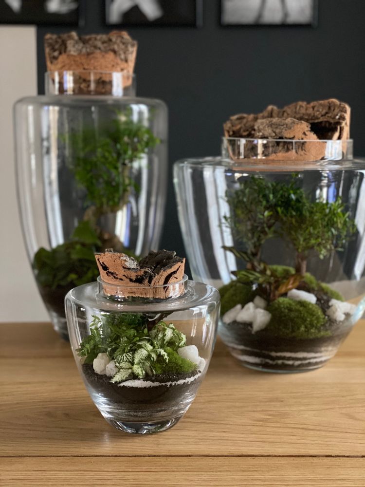 Objets de décoration - FlorMaison - Terrarium - FLOR MAISON