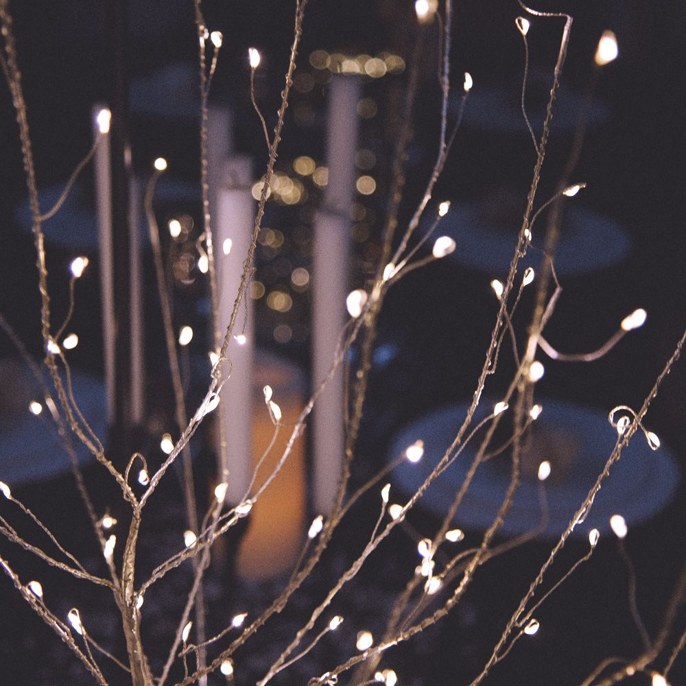 Objets de décoration - Arbres lumineux - FESTILIGHT