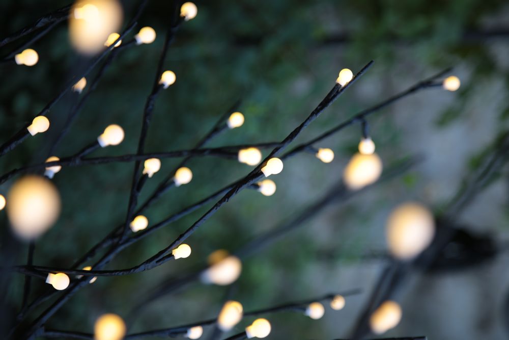 Objets de décoration - Arbres lumineux - FESTILIGHT
