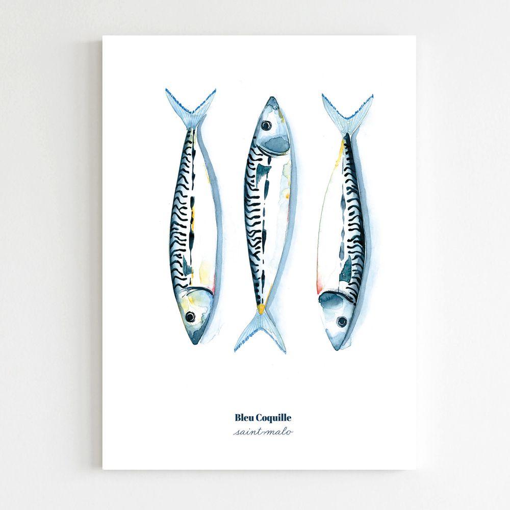 Affiches - Affiche 30 x 40 cm - Maquereaux - BLEU COQUILLE