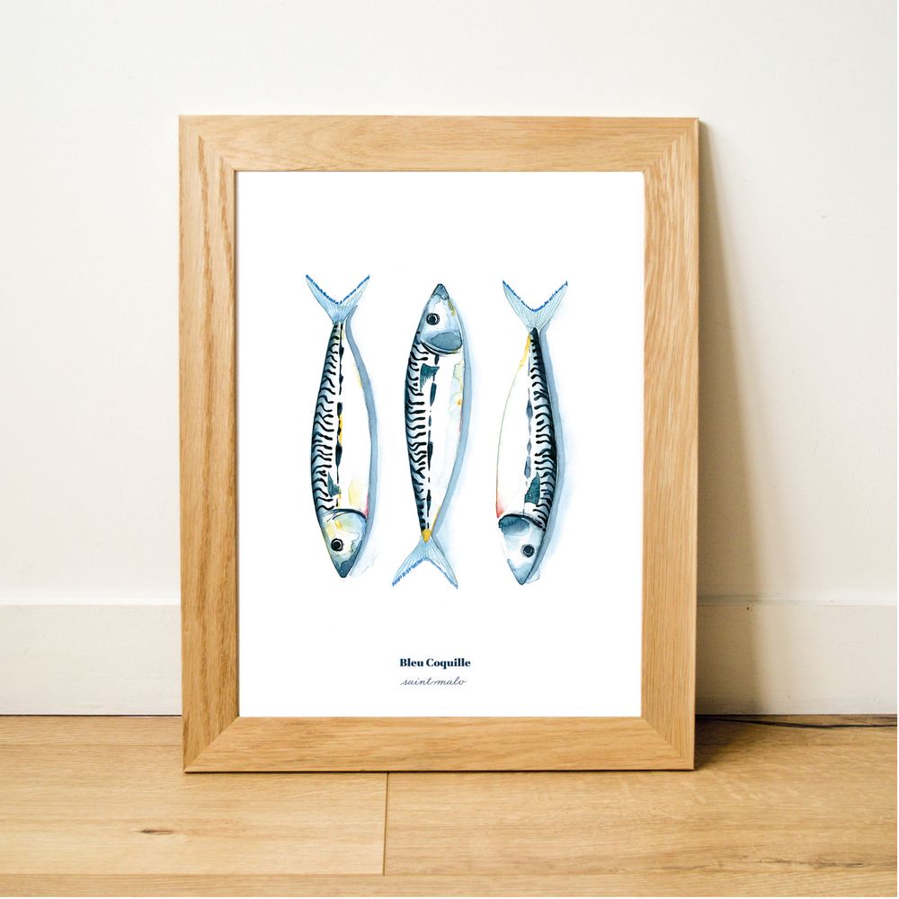 Affiches - Affiche 30 x 40 cm - Maquereaux - BLEU COQUILLE