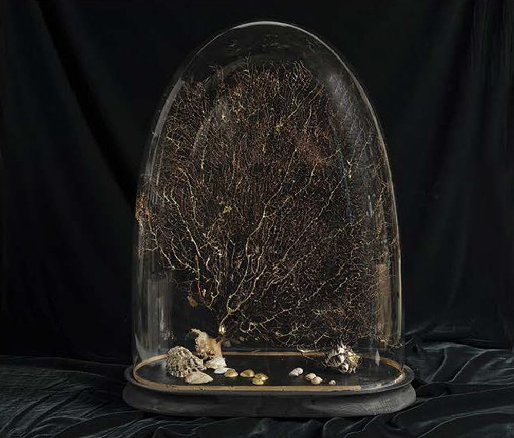 Sculptures, statuettes et miniatures - Grande Gorgone noire, filets d'or - ATELIER AVENET