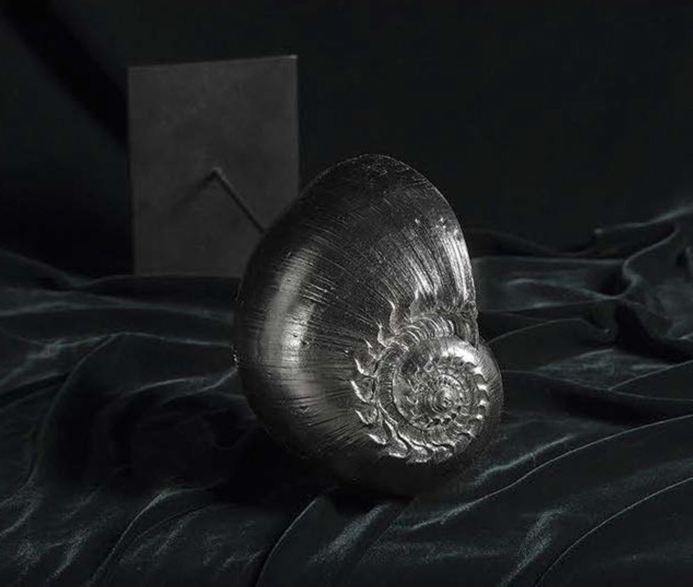 Sculptures, statuettes and miniatures - Large natural shell, palladium gold - ATELIER AVENET