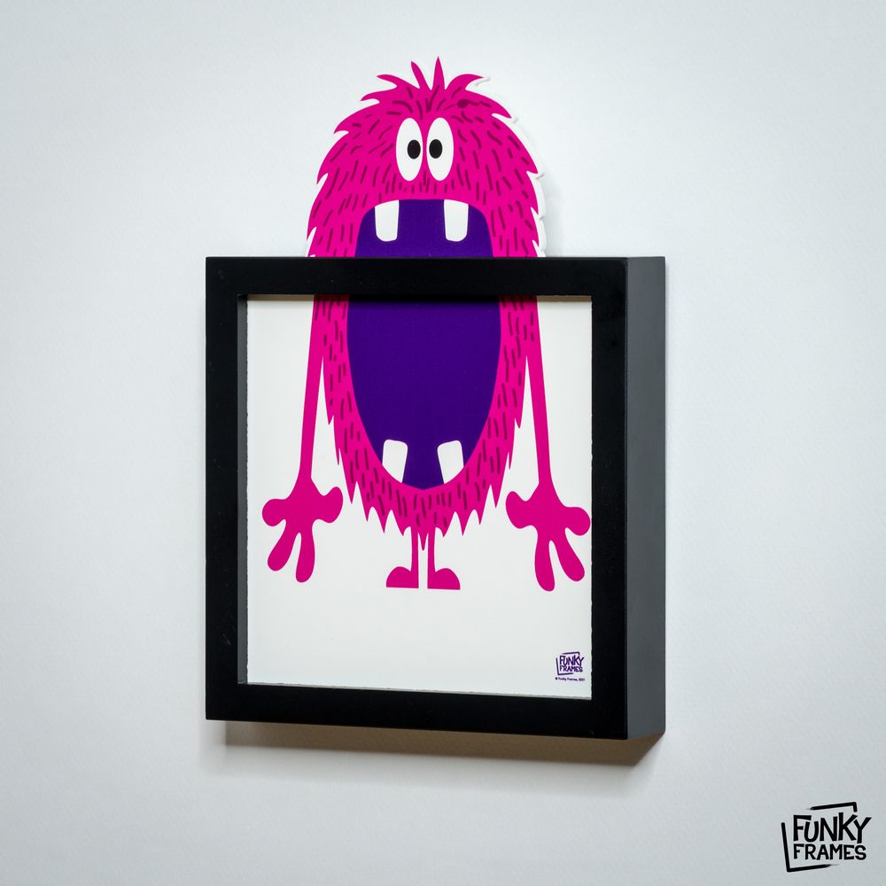 Produits sous licence - Funky Frames - FUNKY FRAMES